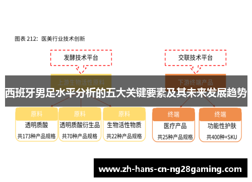西班牙男足水平分析的五大关键要素及其未来发展趋势