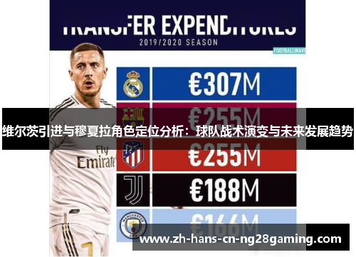 维尔茨引进与穆夏拉角色定位分析：球队战术演变与未来发展趋势