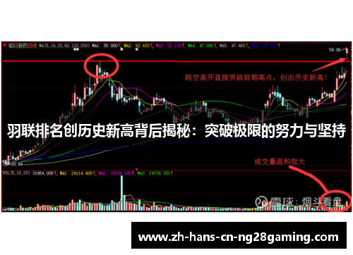 羽联排名创历史新高背后揭秘：突破极限的努力与坚持