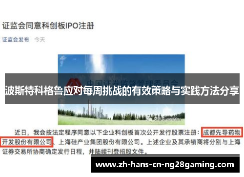 波斯特科格鲁应对每周挑战的有效策略与实践方法分享